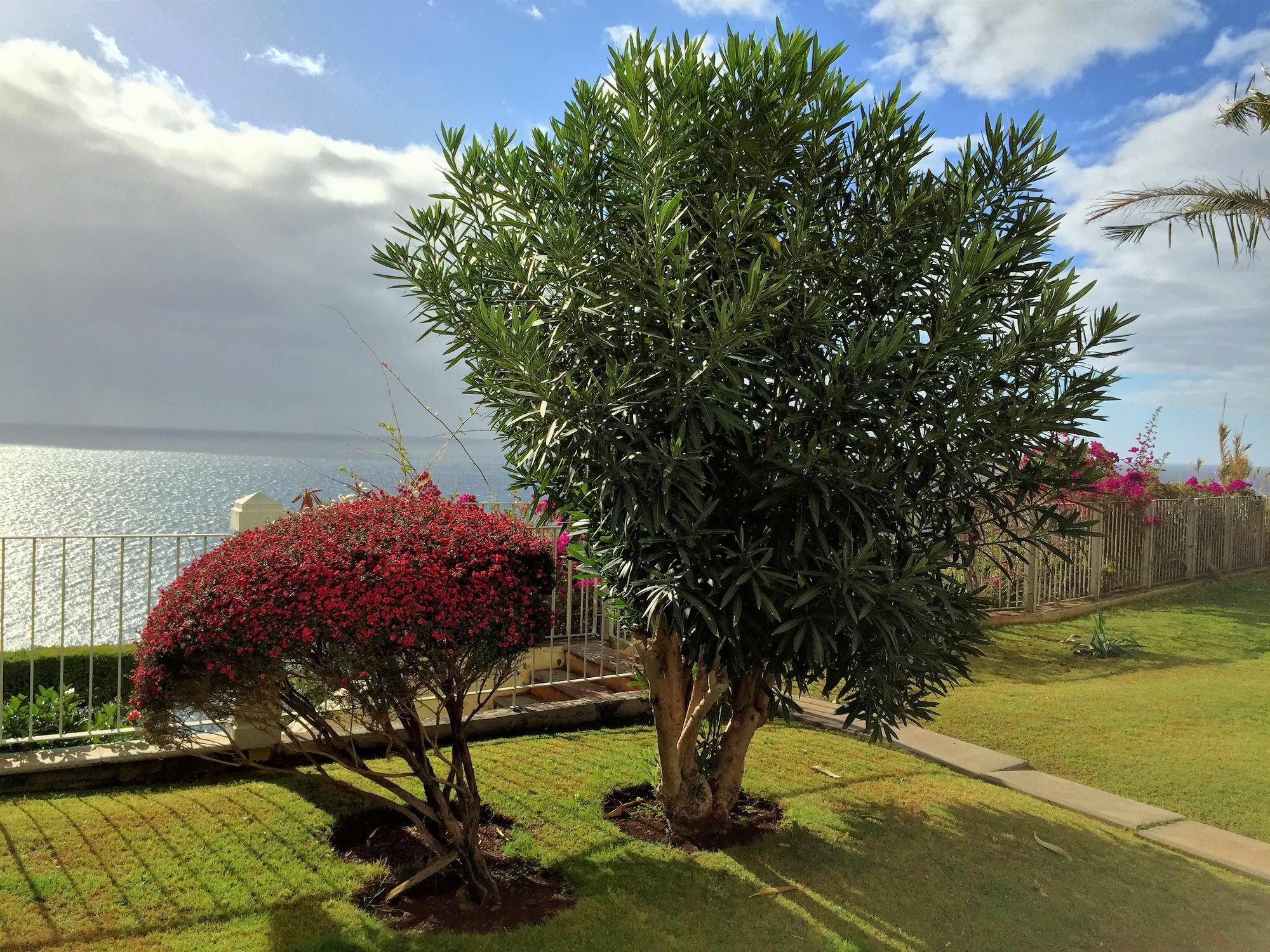 Finest - Beachfront Penthouse Funchal (Madeira)